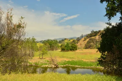 DSC_6384 (Large).JPG